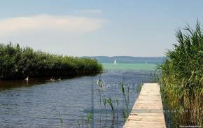 Balaton déli partján, Balatonszárszón közvetlen vízparton elhelyezkedő, saját vízparttal rendelkező 2721 m2-es telek eladó